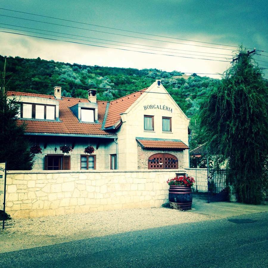 Borgaleria Hotel Tokaj Exterior foto